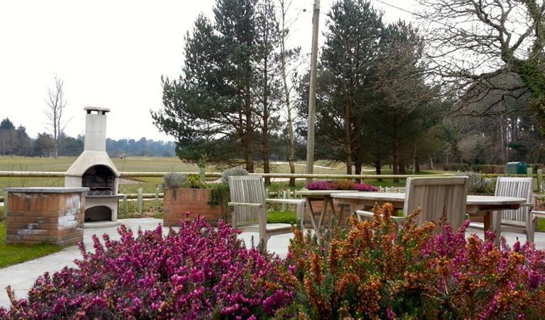 East Stoke  The Dorset Resort מראה חיצוני תמונה